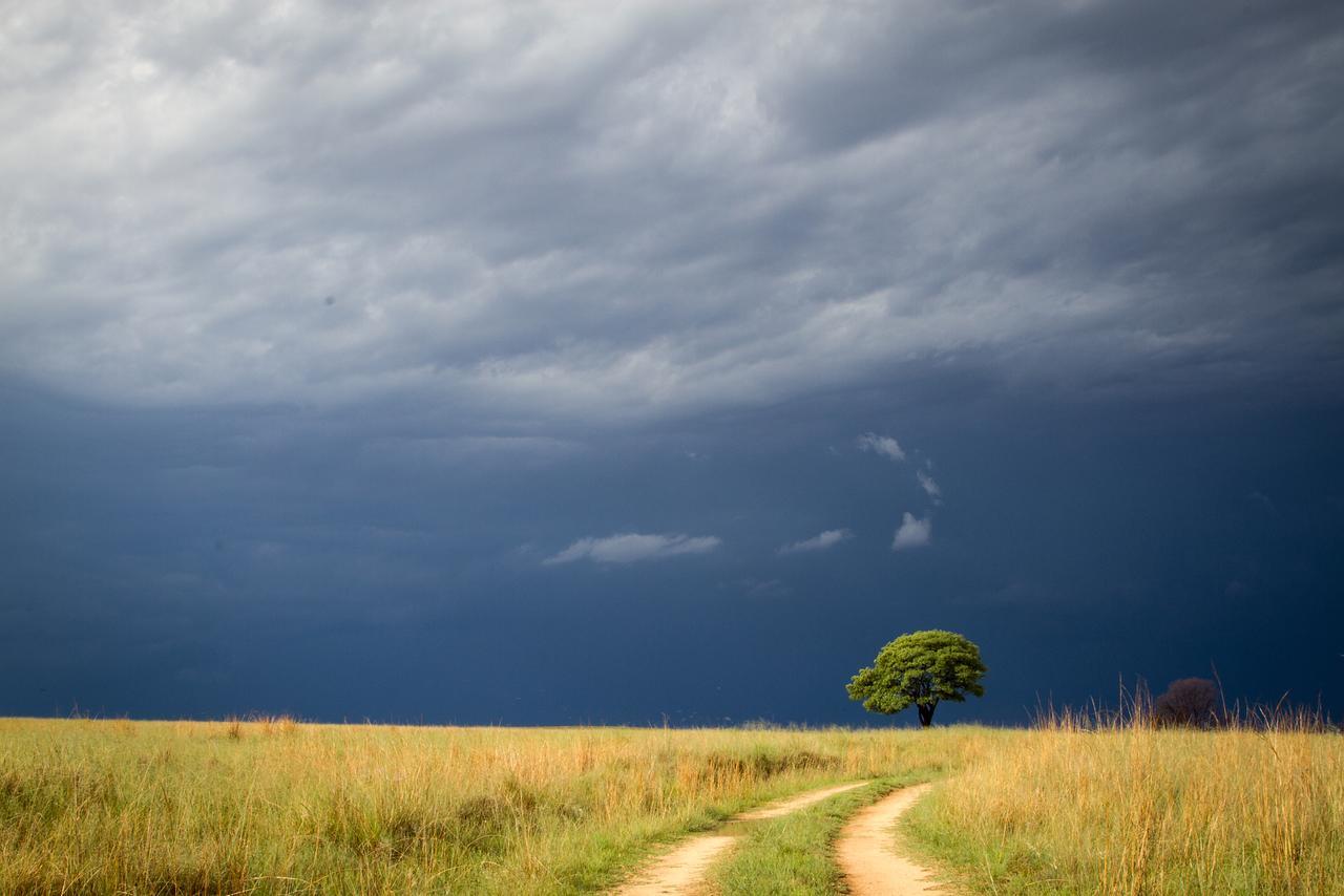 Ezemvelo Nature Reserve Vaalplaas Exterior photo